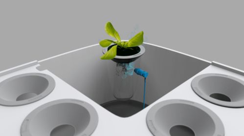 2020年設(shè)計流行話題 人與自然的教學(xué)用模型及教具制造