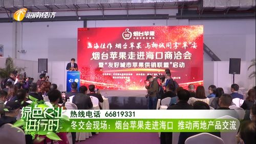 煙臺蘋果香飄?？?冬交盛會架起南北交流新橋梁
